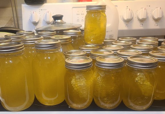 Jars of Scott's Bees honey